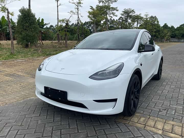 2022 Model Y 2022 rear-wheel drive version