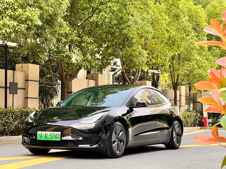 2023 Model 3 2022 rear-wheel drive version
