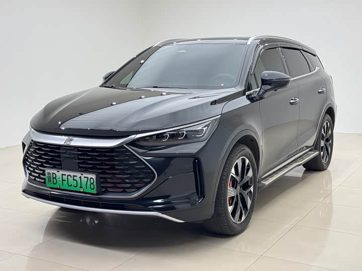 2024 Tangxin Energy 2024 DM-p Champion Edition 215KM four-wheel drive exclusive model