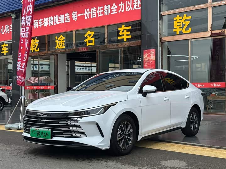 2024 Destroyer 05 2024 Honor Edition DM-i 55KM Luxury Type
