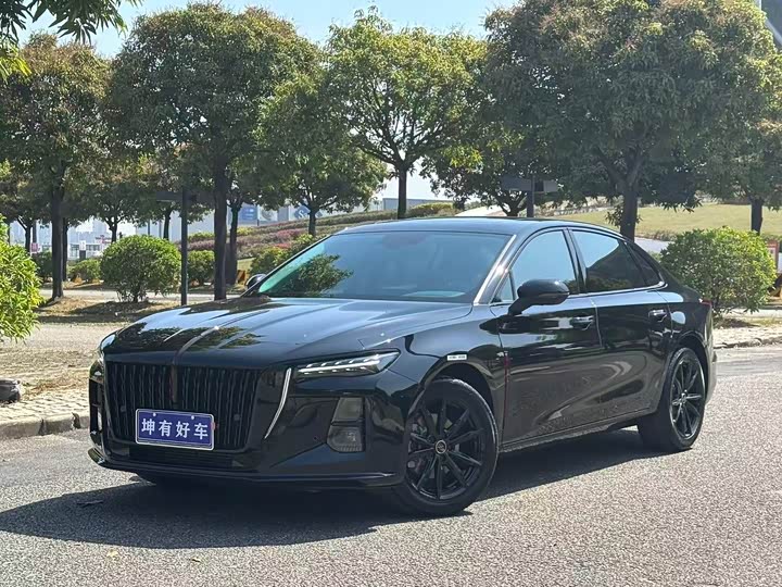2025 Hongqi H5 2025 1.5T DCT Xuanying Edition