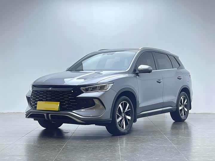 2024 Song Pro New Energy 2024 Honor Edition DM-i 110KM Transcendence