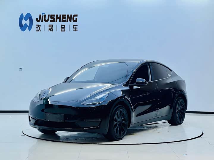 Model Y 2021 Model Standard Range Edition