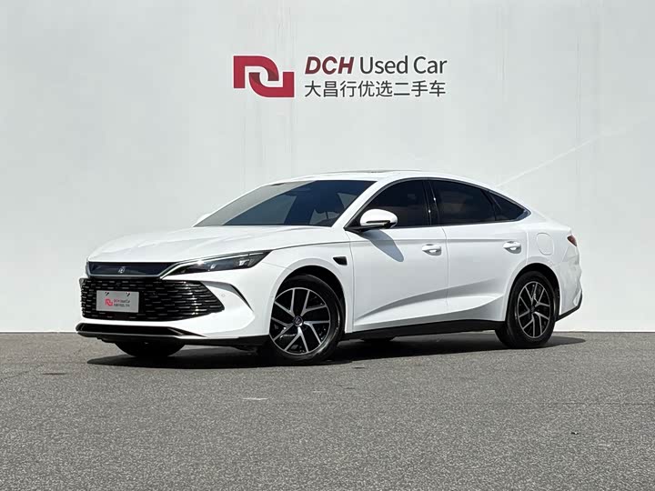 2025 Qin L 2025 DM-i smart driving version 120KM leading model