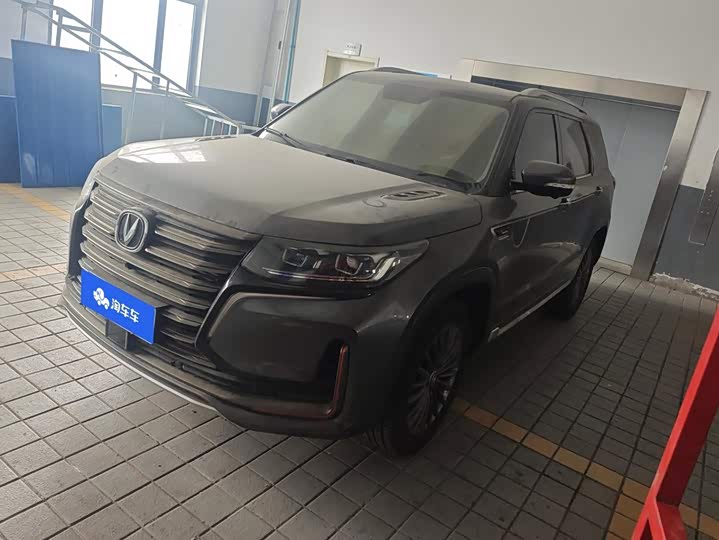 CS95 2021 Model 2.0T 2WDLuxury Version