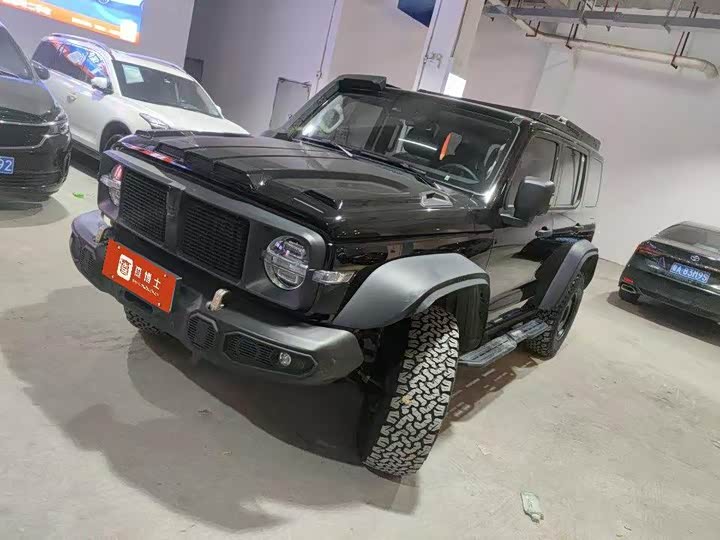 2024 Tank 300 2023 2.0T Tieqi 02