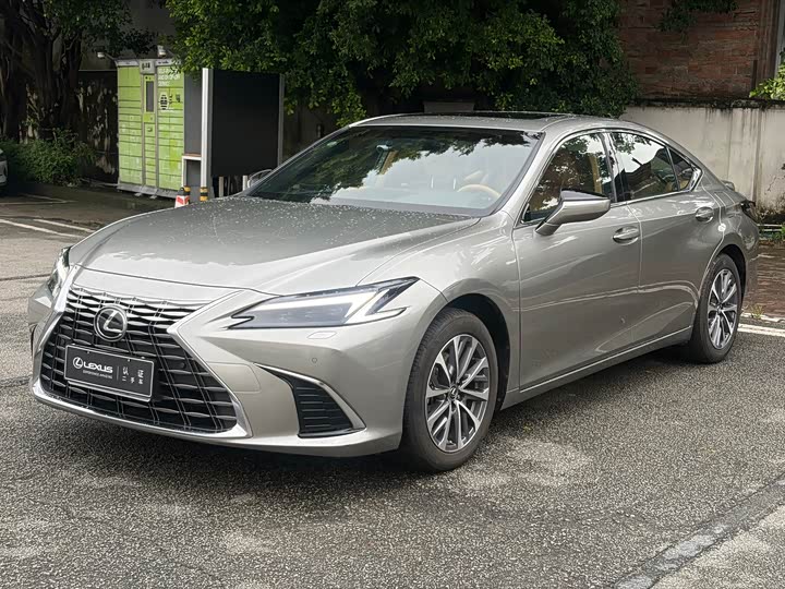 ES 2025 Model 300h Edition