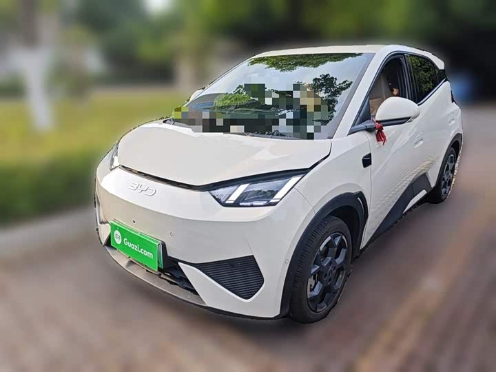 2025 Seagull 2025 smart driving version 305km free version