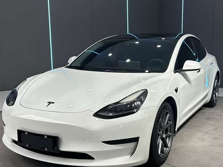 Model 3 2021 Model Model Standard Range Edition 3D1