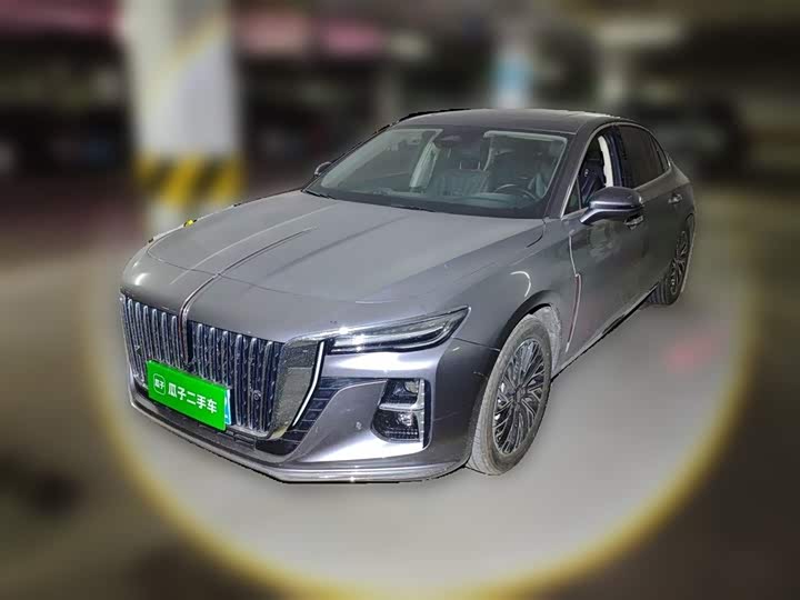 2024 Hongqi H5 2024 2.0T Automatic Zhilianqichang Edition