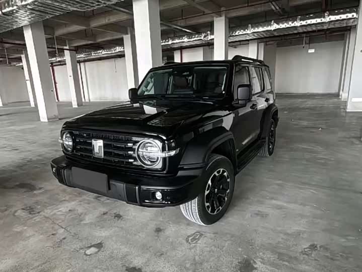300 2025 Model Hi4-T 36.7kWh