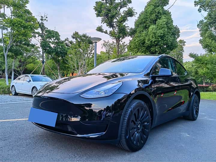 2022 Model Y 2022 rear-wheel drive version