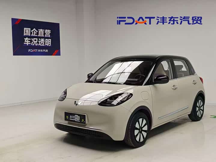 Model 333km Model