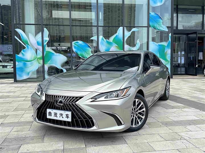 2022 Lexus ES 2021 260 Luxury