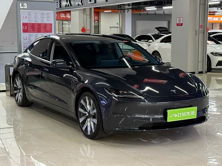 Model 3 2025 Model Edition