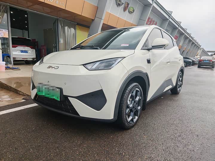 Seagull 2025 smart driving version 305km free version