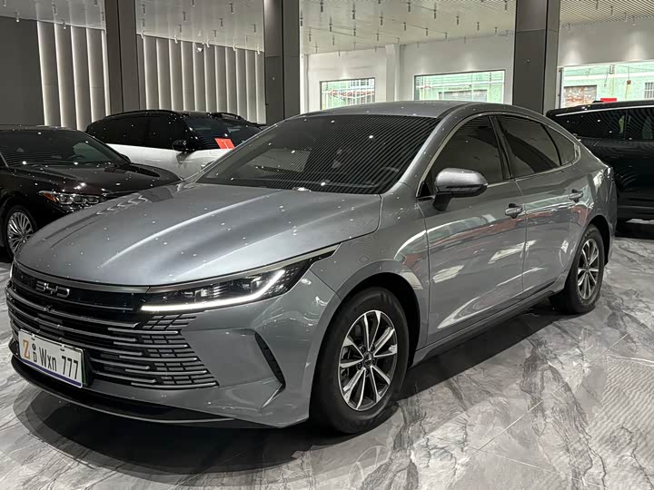 2024 Destroyer 05 2024 Honor Edition DM-i 55KM Luxury Type