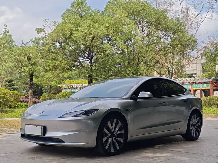 2025 Model 3 2025 rear-wheel drive version