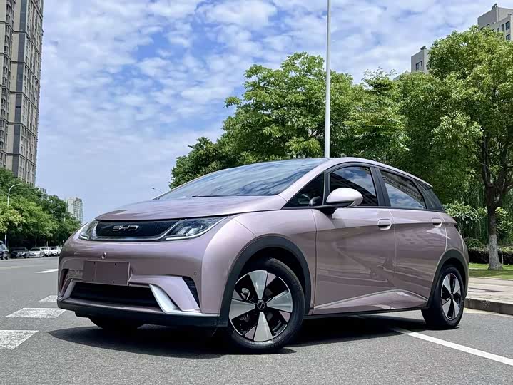2023 BYD Dolphin 2023 420km Fashion Edition