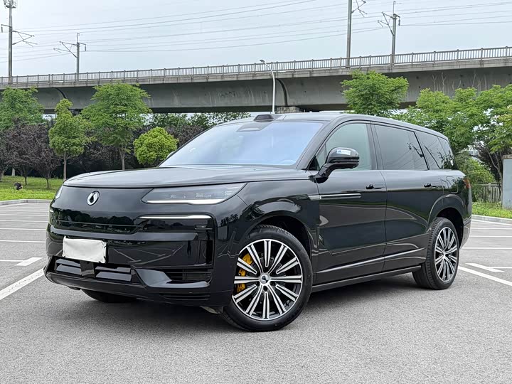 2025 Denza N9 2025 Honor Type