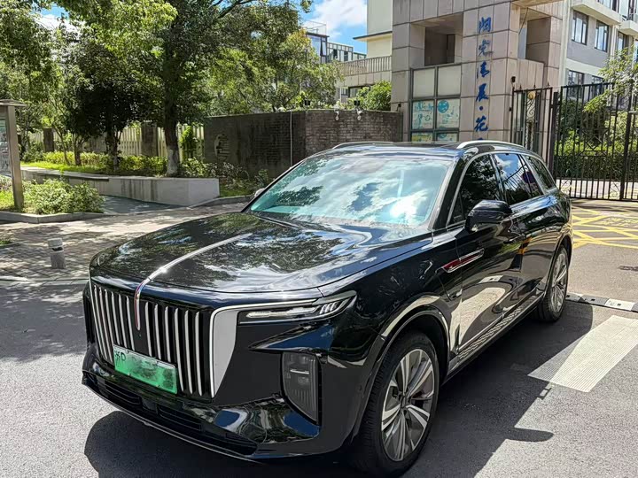 E-HS9 2021 Model 460km Edition