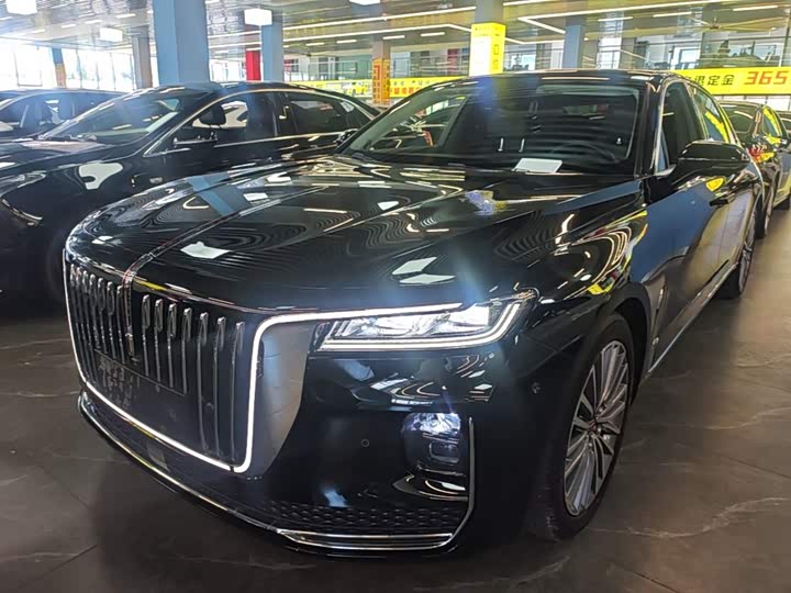 H9 2020 Model 2.0T Edition