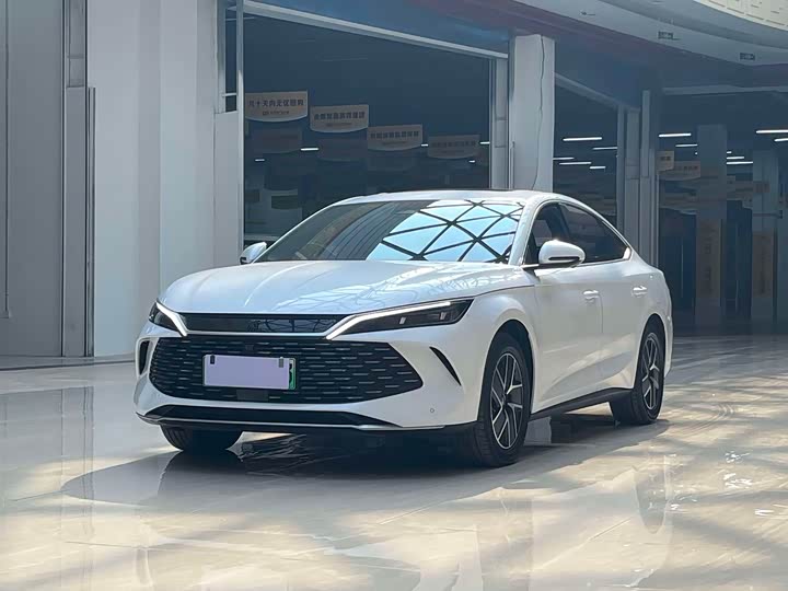 2024 Qin L 2024 DM-i 120KM transcendent model