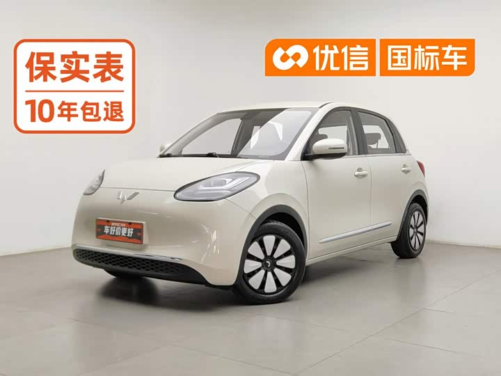 Model 203km Model