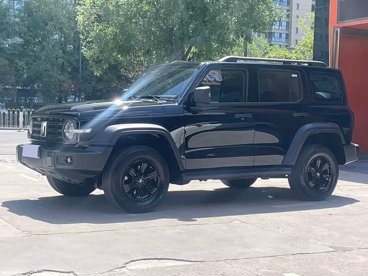 300 2024 Model 2.0T