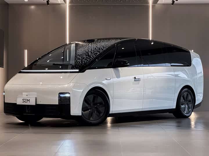 2026 Ideal MEGA 2025 Home Family Special Edition