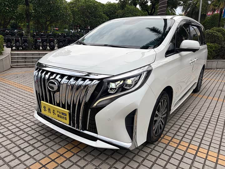 2021 GAC Trumpchi M8 2021 Master Edition 390T Supreme