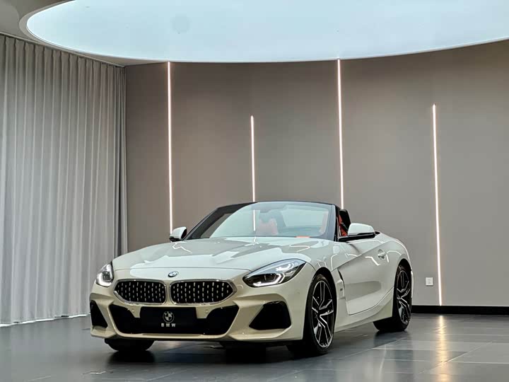 Z4 2019 Model sDrive 25i M