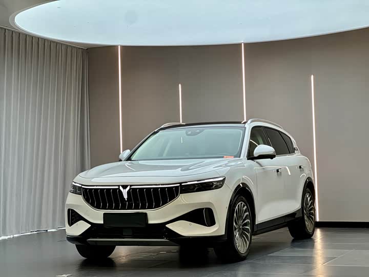 FREE 2021 Model AWDEVLuxury