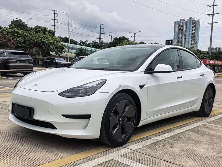 Model 3 2021 Model Model Standard Range Edition 3D1