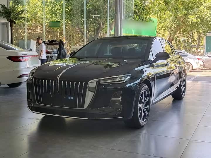 H5 PHEV 2025 Model 170 Edition