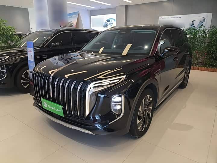 HS7 PHEV 2024 Model 2.0T PHEV AWD Edition 6