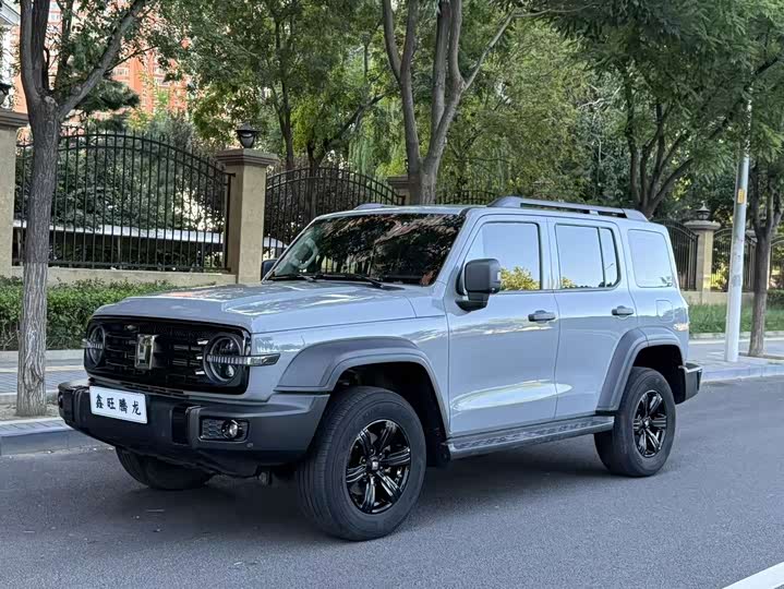300 2024 Model 2.0T