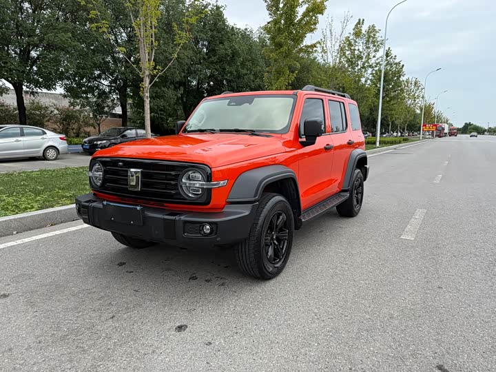 300 2023 Model Off-Road Edition 2.0T