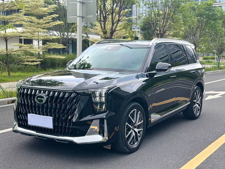 2022 Trumpchi GS8 2022 Dual Engine Series 2.0TM Two-wheel drive Premium Edition (seven seats)