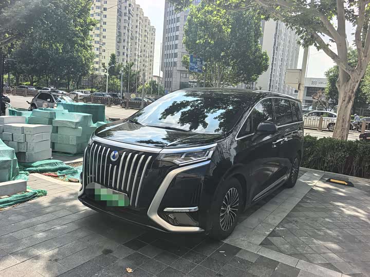 2024 Denza D9 2024 EV 600 four-wheel drive premium model