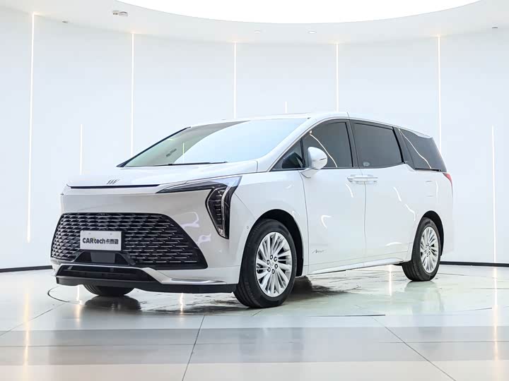 Century 2025 2.0T Six-seater Yuanshi Edition