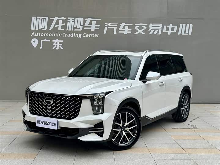2025 Trumpchi GS8 2025 Pilot Series 2.0TGDI two-wheel drive luxury version 5 seats