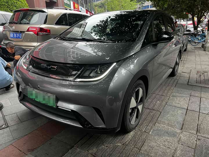 2023 BYD Dolphin 2023 420km Fashion Edition