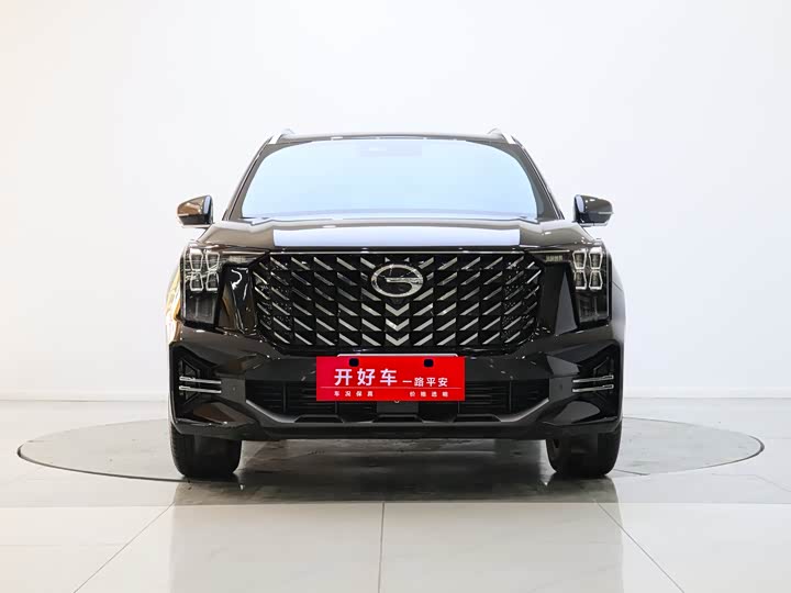 2025 Trumpchi GS8 2025 Pilot Series 2.0TGDI two-wheel drive luxury version 5 seats