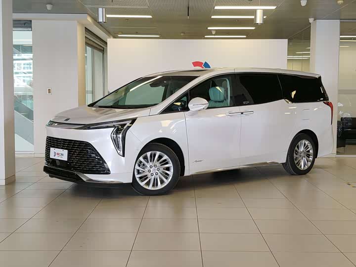 Century 2025 2.0T Six-seater Yuanshi Edition