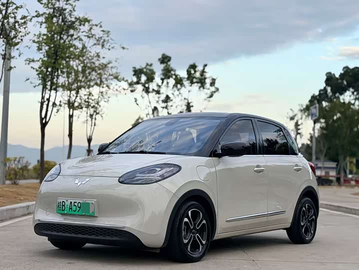 2024 Wuling Bingo 2024 410km Lingxi Exclusive Edition