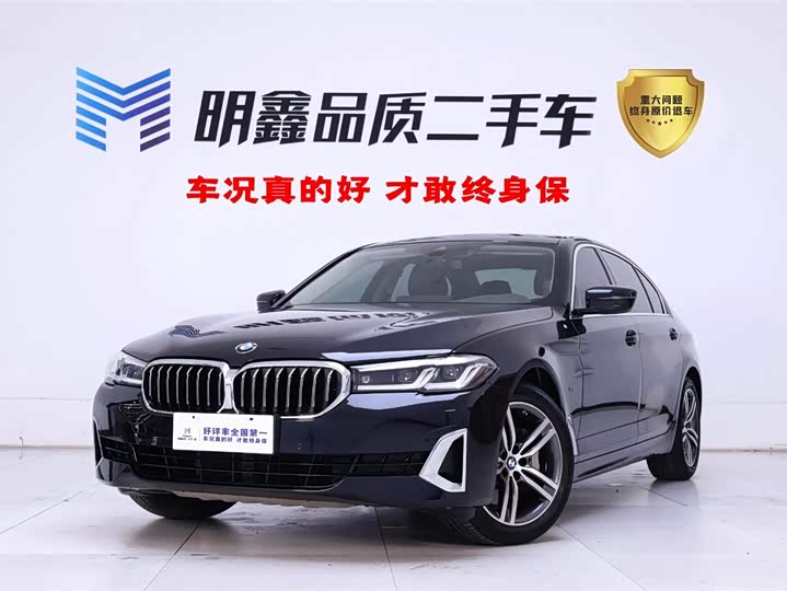 2021 BMW 5 Series 2021 530Li Leading Luxury Package