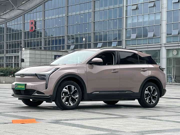 2024 Neta U 2022 Neta U-II 400 Lite Ternary Lithium