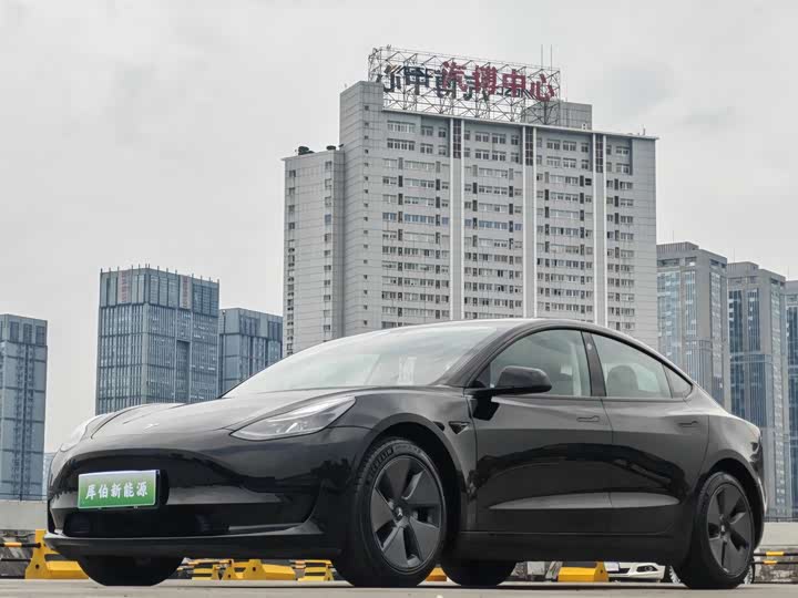 2021 Model 3 2021 facelift standard range rear drive upgraded version 3D1