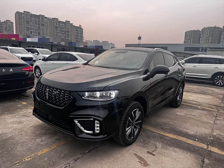 2021 WEY VV5 2020 1.5T 2WD Trendy Pioneer